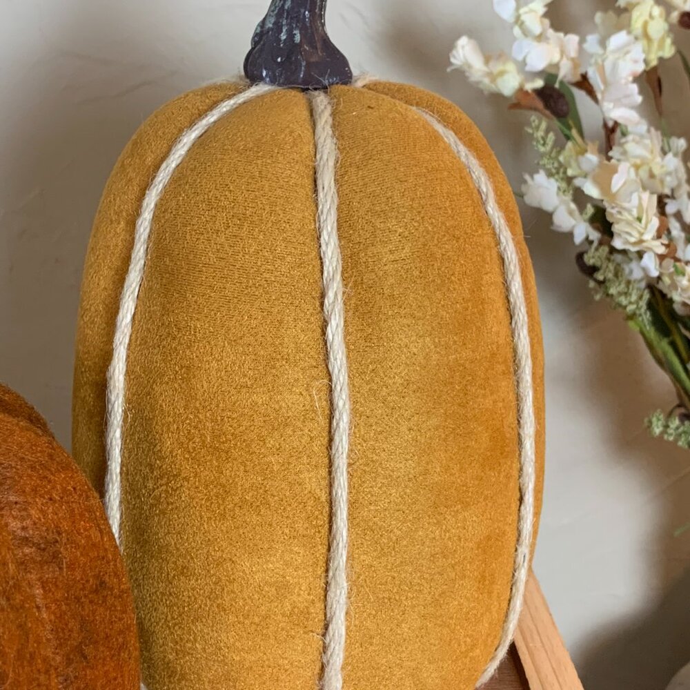Fall/Thanksgiving Rustic Pumpkin Decor - Picture 5 of 8